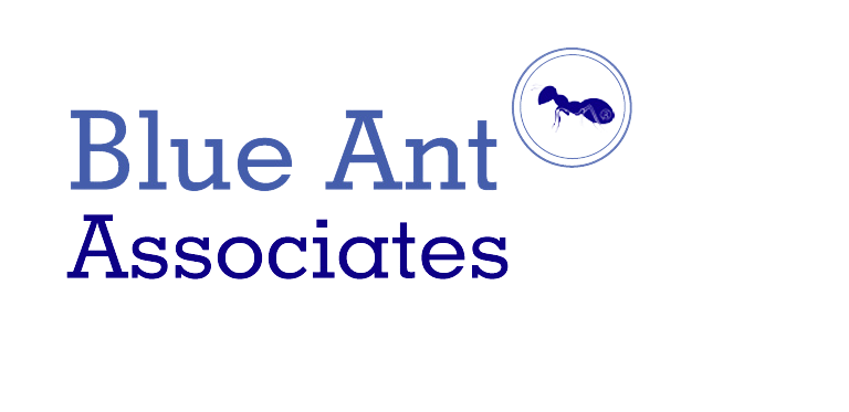 logo agustin